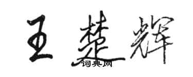 駱恆光王楚輝行書個性簽名怎么寫