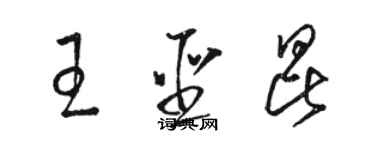 駱恆光王聖昆草書個性簽名怎么寫