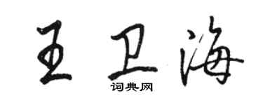 駱恆光王衛海行書個性簽名怎么寫