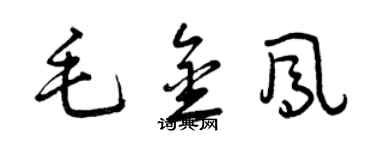 曾慶福毛金鳳草書個性簽名怎么寫