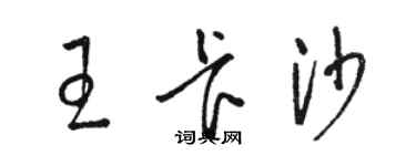 駱恆光王卡沙草書個性簽名怎么寫