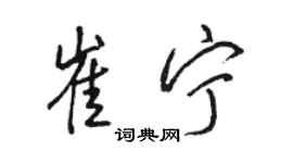 駱恆光崔寧行書個性簽名怎么寫