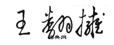 駱恆光王翻擁草書個性簽名怎么寫