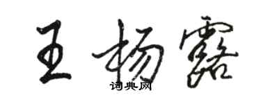 駱恆光王楊露行書個性簽名怎么寫