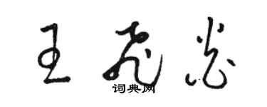 駱恆光王飛炎草書個性簽名怎么寫