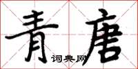 周炳元青唐楷書怎么寫