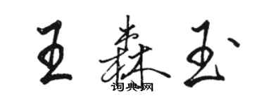 駱恆光王森玉行書個性簽名怎么寫