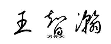 梁錦英王智瀚草書個性簽名怎么寫