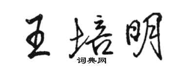 駱恆光王培明行書個性簽名怎么寫