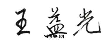 駱恆光王益光行書個性簽名怎么寫