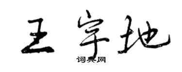 曾慶福王宇地行書個性簽名怎么寫