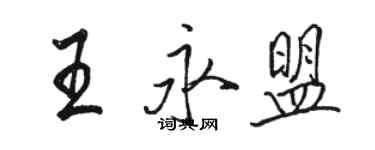 駱恆光王永盟行書個性簽名怎么寫