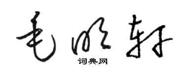 駱恆光毛明軒草書個性簽名怎么寫