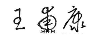 駱恆光王甫康草書個性簽名怎么寫