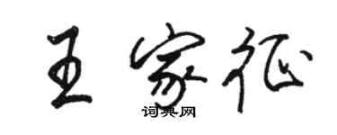 駱恆光王家征行書個性簽名怎么寫