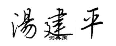 王正良湯建平行書個性簽名怎么寫