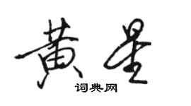 駱恆光黃星行書個性簽名怎么寫