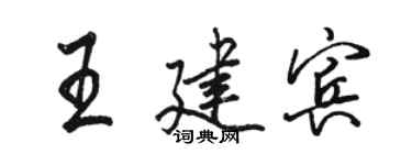 駱恆光王建賓行書個性簽名怎么寫
