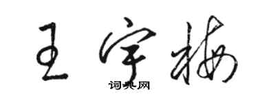 駱恆光王宇梅草書個性簽名怎么寫