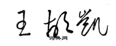 駱恆光王胡凱草書個性簽名怎么寫