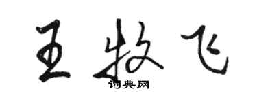 駱恆光王牧飛行書個性簽名怎么寫