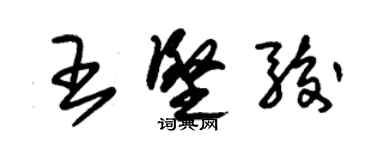 朱錫榮王堅駿草書個性簽名怎么寫