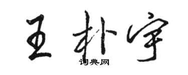 駱恆光王朴宇行書個性簽名怎么寫