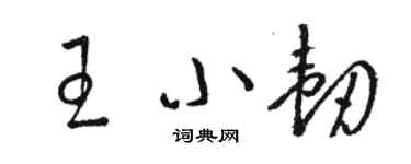 駱恆光王小韌草書個性簽名怎么寫