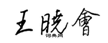 王正良王曉會行書個性簽名怎么寫