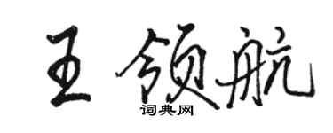 駱恆光王領航行書個性簽名怎么寫