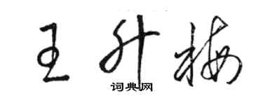 駱恆光王升梅草書個性簽名怎么寫