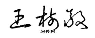 曾慶福王樹敬草書個性簽名怎么寫