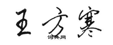 駱恆光王方寒行書個性簽名怎么寫