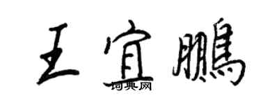 王正良王宜鵬行書個性簽名怎么寫
