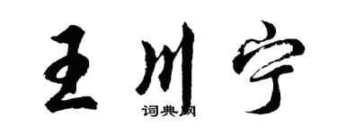 胡問遂王川寧行書個性簽名怎么寫