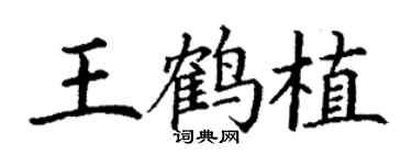 丁謙王鶴植楷書個性簽名怎么寫