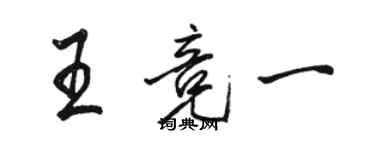 駱恆光王競一行書個性簽名怎么寫