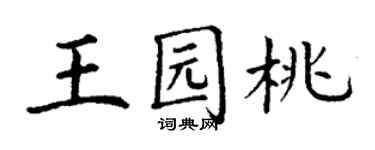 丁謙王園桃楷書個性簽名怎么寫