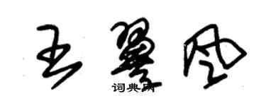 朱錫榮王翼風草書個性簽名怎么寫