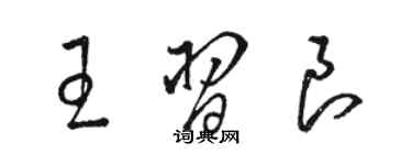 駱恆光王習良草書個性簽名怎么寫