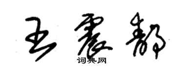 朱錫榮王震靜草書個性簽名怎么寫