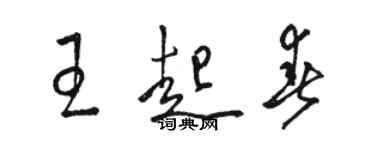 駱恆光王起春草書個性簽名怎么寫