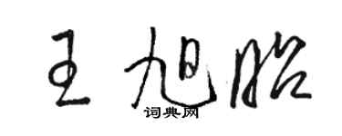 駱恆光王旭昭草書個性簽名怎么寫