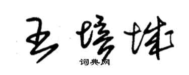 朱錫榮王培城草書個性簽名怎么寫