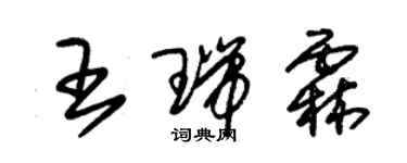 朱錫榮王瑞霖草書個性簽名怎么寫