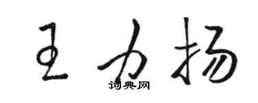 駱恆光王力揚草書個性簽名怎么寫