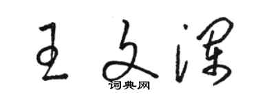 駱恆光王文瀾草書個性簽名怎么寫