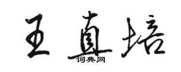 駱恆光王直培行書個性簽名怎么寫