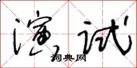 王冬齡演試草書怎么寫