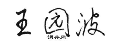 駱恆光王園波行書個性簽名怎么寫